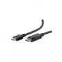 Vaizdo kabelio adapteris ShiverPeaks BS77495-2 5m DisplayPort į HDMI
