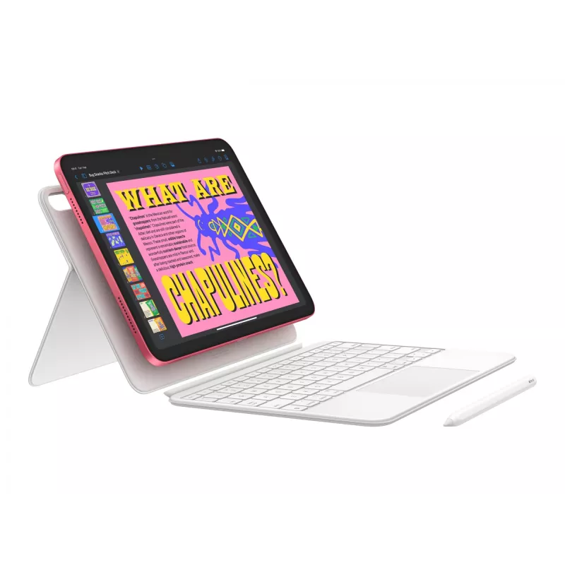Planšetinis kompiuteris Apple iPad 11 colių 5G LTE-TDD ir LTE-FDD A16 256 GB iPadOS 18