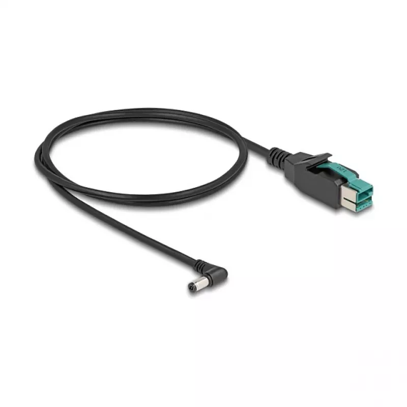 DeLOCK PoweredUSB kabelis vyriškas 12 V į DC 5,5 x 2,1 mm vyriškas kampuotas 1 m