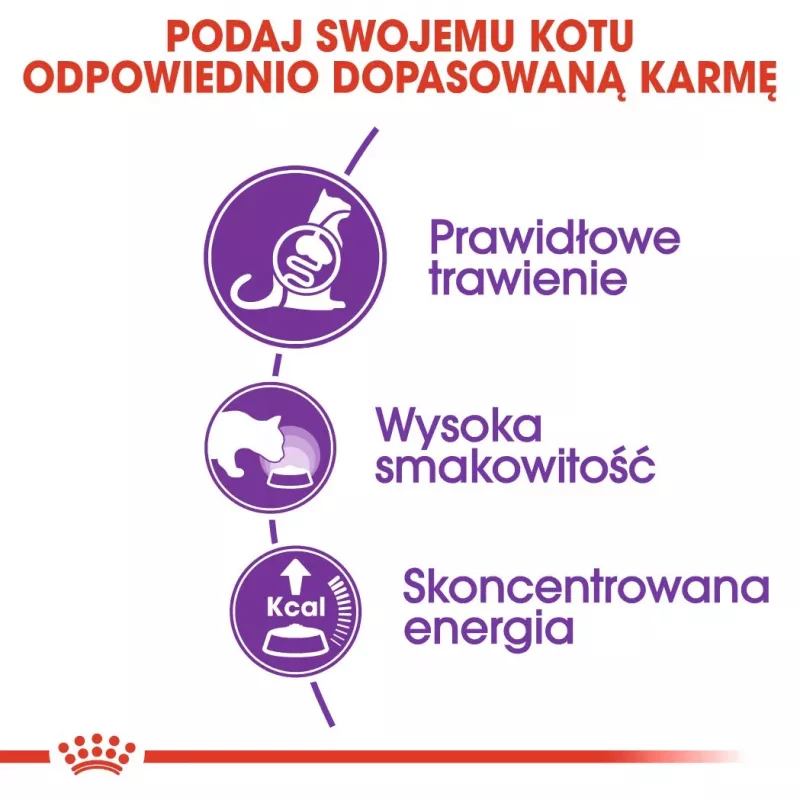 Sausas kačių ėdalas Royal Canin Sensible 33 4 kg — Su paukštiena ir ryžiais, suaugusioms katėms, baltymai 33%, riebalai 22%