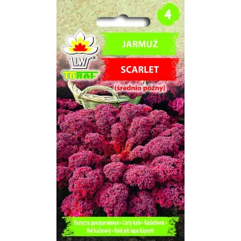 Scarlet Toraf kopūstų sėklos, 1g pakuotė