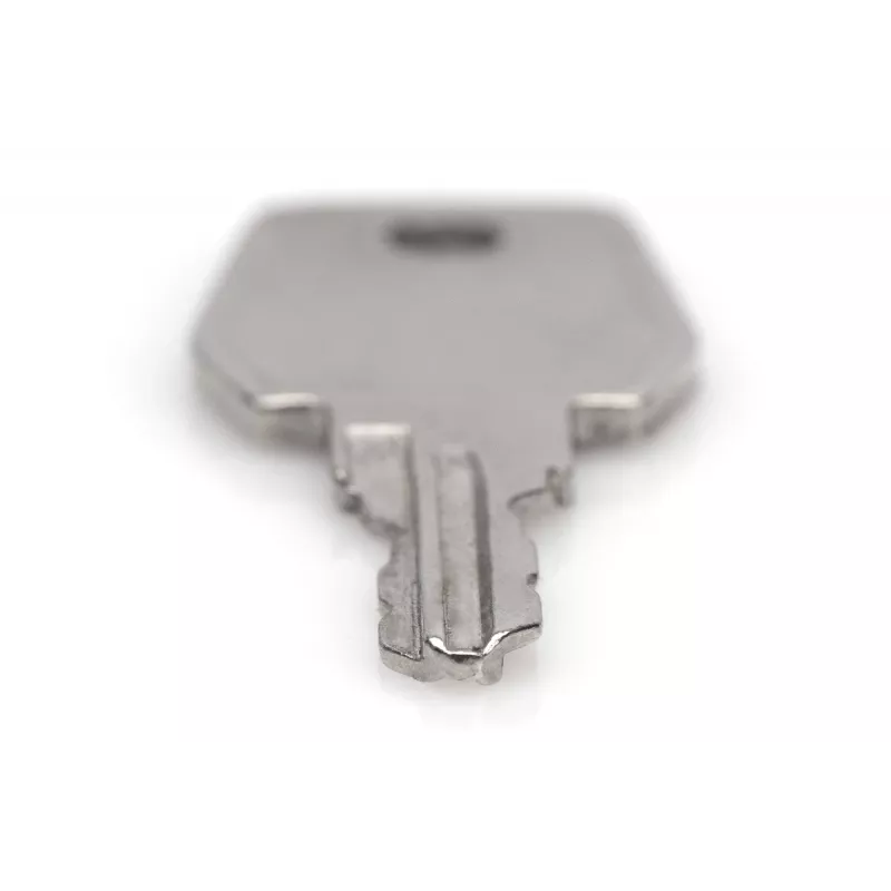 Raktas tinklo ir serverių spintoms Digitus DN-19 KEY-9473