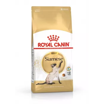 Sausas kačių ėdalas Royal Canin Siamese 2 kg – suaugusioms, paukštiena, baltymai 38%, riebalai 16%