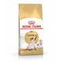 Sausas kačių ėdalas Royal Canin Siamese 2 kg – suaugusioms, paukštiena, baltymai 38%, riebalai 16%