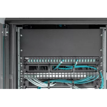 Tuščias skydelis Digitus DN-19 BPN-04-SW 4U juodas