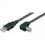 Wentronic Goobay USB 2.0 Hi-Speed laidas, juodas, 5 m – USB 2.0 kištukas (A tipas) > USB 2.0 kištukas (B tipas) (95118)