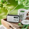 Nešiojamas skaitmeninis radijas Adler AD 1907 – AM/FM, skaitmeninis imtuvas, žadintuvas, USB-C, 600 mAh baterija, LCD, 20 išankstinių stočių, teleskopinė antena