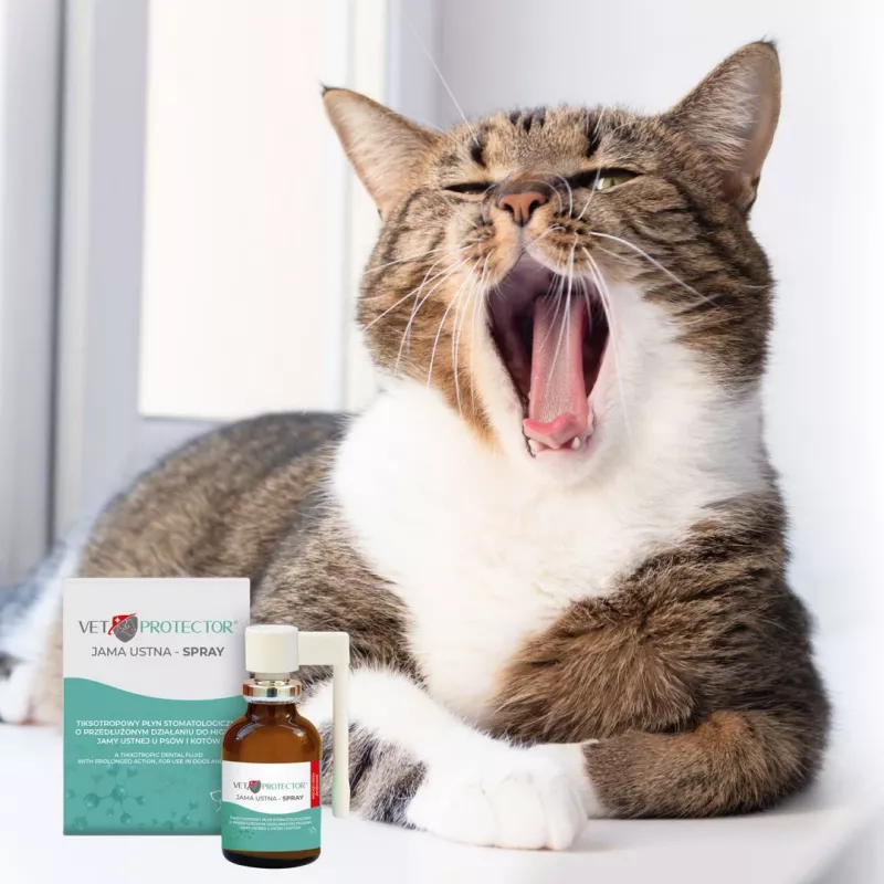 Burnos ertmės purškalas JM Sante Vet Protector 30 ml šunims ir katėms, skystas, be konservantų, be cukraus