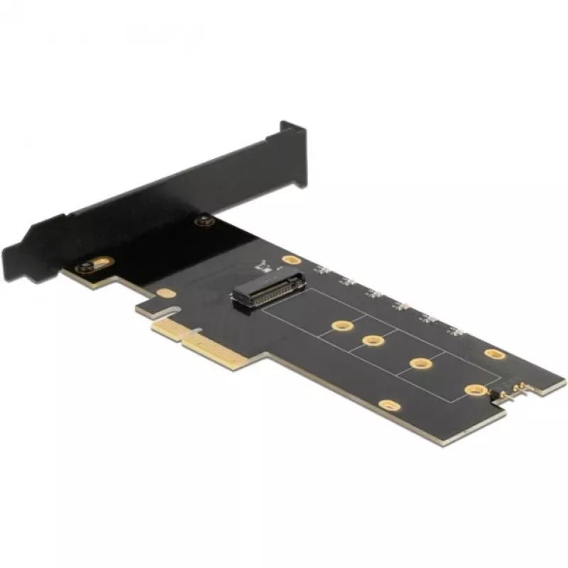 DeLOCK 89013 Vidinė M.2 PCIe sąsajos plokštė, Low-profile
