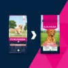 Sausas šunų ėdalas EUKANUBA Senior Large Ėriena ir Ryžiai 12 kg