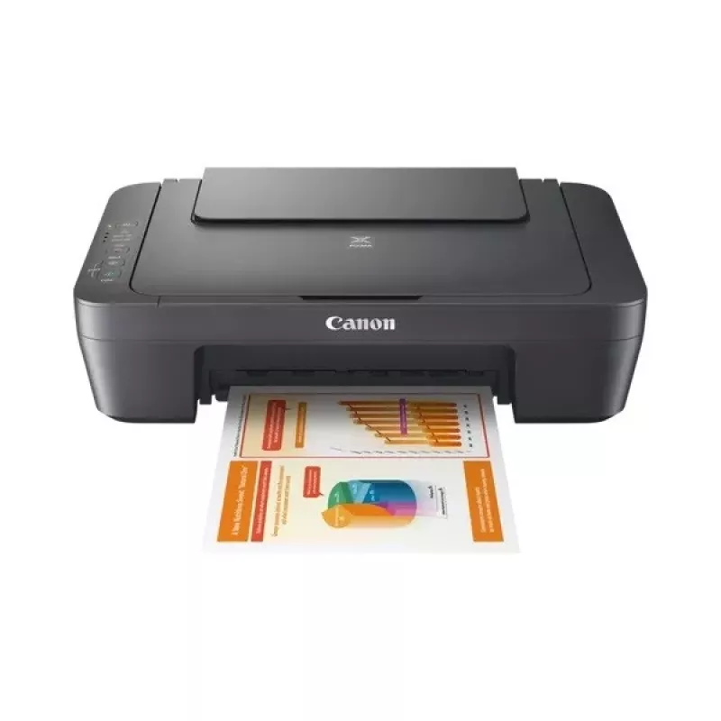 Daugiafunkcis įrenginys Canon PIXMA MG2556S rašalinis spalvotas spausdinimas