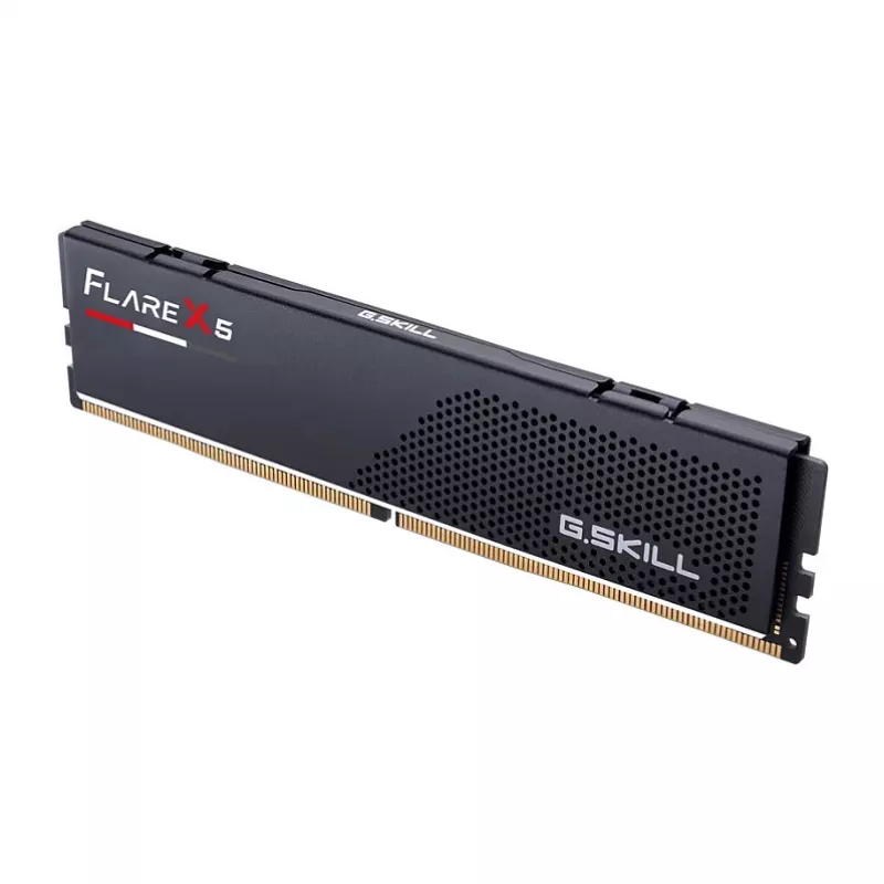 G.Skill Flare X5 F5-5200J4040A24GX1-FX5, 24 GB, 1 x 24 GB, DDR5, 5200 MHz, 288 kontaktų DIMM