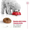 ROYAL CANIN Mini Ageing Adult +12 – sausas šunų ėdalas – 3,5 kg