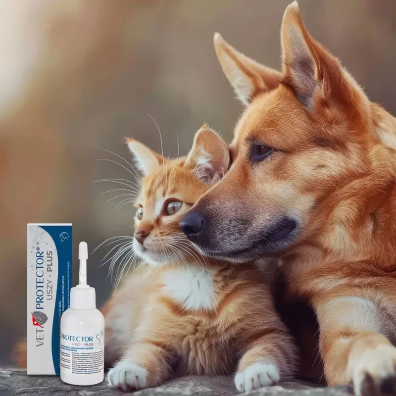 Ausų priežiūros tirpalas JM Sante Vet Protector Uszy Plus 50 ml – ausų higienai suaugusiems šunims ir katėms