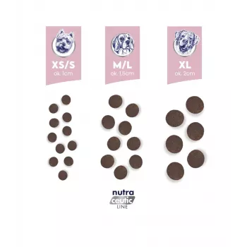 BALTICA Nutraceutic Hypoalergeninis S Ėriena su ryžiais - sausas šunų maistas - 12kg
