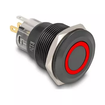 Mygtukinis jungiklis DELOCK 22015 22 mm, 12 V, 5 litavimo kontaktai