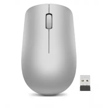 Lenovo 530 pelė Office Ambidextrous RF Wireless Optinė 1200 DPI