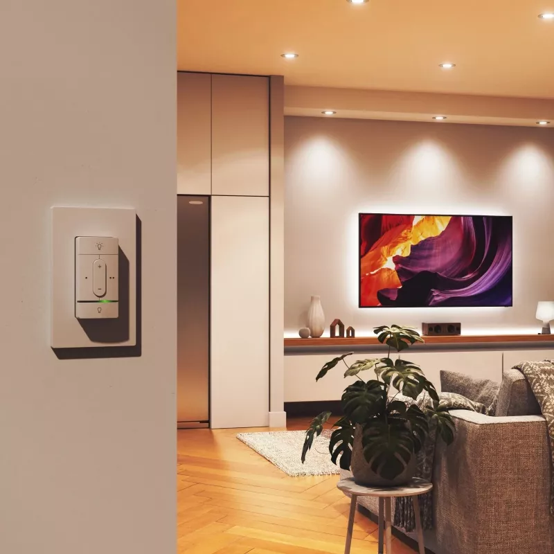 Belaidis išmanusis jungiklis Nanoleaf N4400C02-1BUT