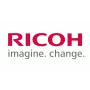 Ricoh D0746457 (D074-6457) BLADE:APPLY:ASS'Y