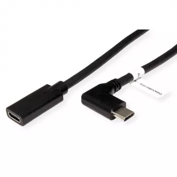 ROLINE 11.04.5496-10 - 2 m - USB Type-C - USB Type-C - Kištukas - Lizdas - Kampus (11.04.5496)