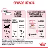 Royal Canin Kitten sausas pašaras katėms 10 kg