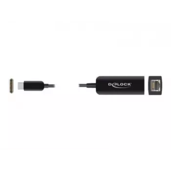 Adapteris USB Type-C (vyriškas) į 2.5 Gigabit LAN kompaktiškas DeLOCK 66645