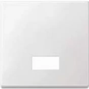 Merten 434819 šviesos jungiklis termoreaktingas plastikas (434819)