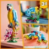 LEGO kūrybinis rinkinys Egzotiška papūga 31136 – Creator modelis, 253 detalės, 220×120×110 mm
