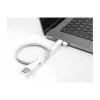 DeLOCK dulkių dangtelis USB Type-A kištukui ir USB Type-C kištukui rinkinys 2 vnt. baltas