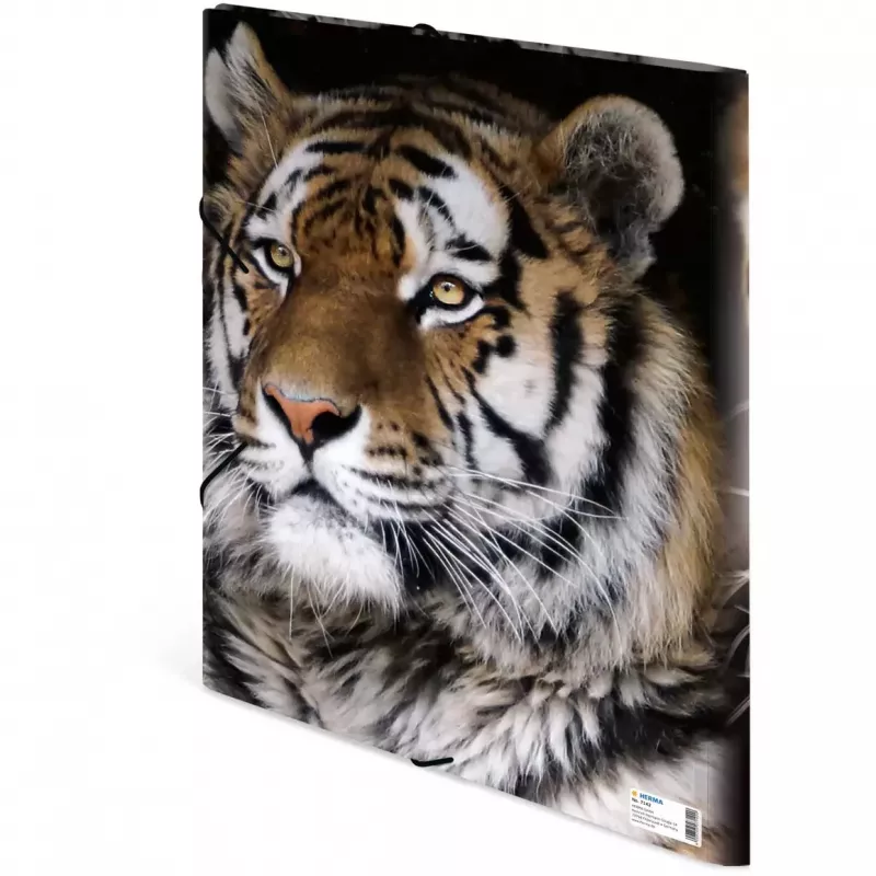Aplankalas polipropileninis (PP) HERMA 7142 A3 įvairiaspalvis