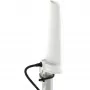 Kryptinė 4 dBi 5G/LTE antena Poynting A-OMNI-0280-02-V1 SMA (vyriškas) 2 m kabelis, stiebo/sienos tvirtinimas, balta