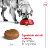 Sausas šunų ėdalas Royal Canin Maxi Adult 5+ 15 kg – vištiena, Baltymai 26%, Riebalai 17%
