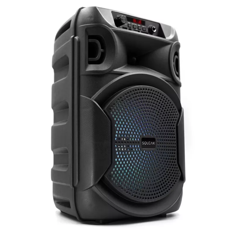 BELAIDIS KOLONĖLĖ SQUEAK PULSETOWER SQ1006, BLUETOOTH 5.3, 30W, JUODA