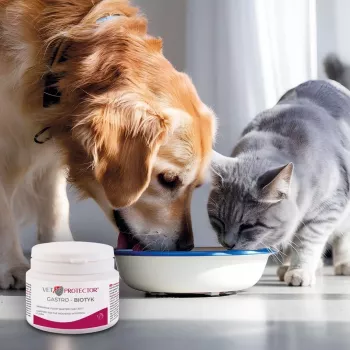 Maisto papildas JM Sante Multibiotic Vet Protector Gastro šunims ir katėms, 60 g — probiotinė pagalba suaugusiems gyvūnams
