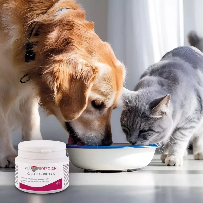 Maisto papildas JM Sante Multibiotic Vet Protector Gastro šunims ir katėms, 60 g — probiotinė pagalba suaugusiems gyvūnams