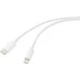 Renkforce USB 2.0 kabelis USB-C® – Apple Lightning 2,00 m baltas (matinis) RF-5724080