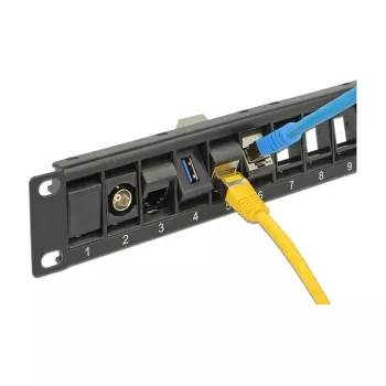 Patch panel DeLOCK 43340 19 inch 24 prievadų su sukamaisiais Keystone lizdais