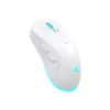 Belaidė pelė Baracuda BGM-122 Turtle White TURTLE-W