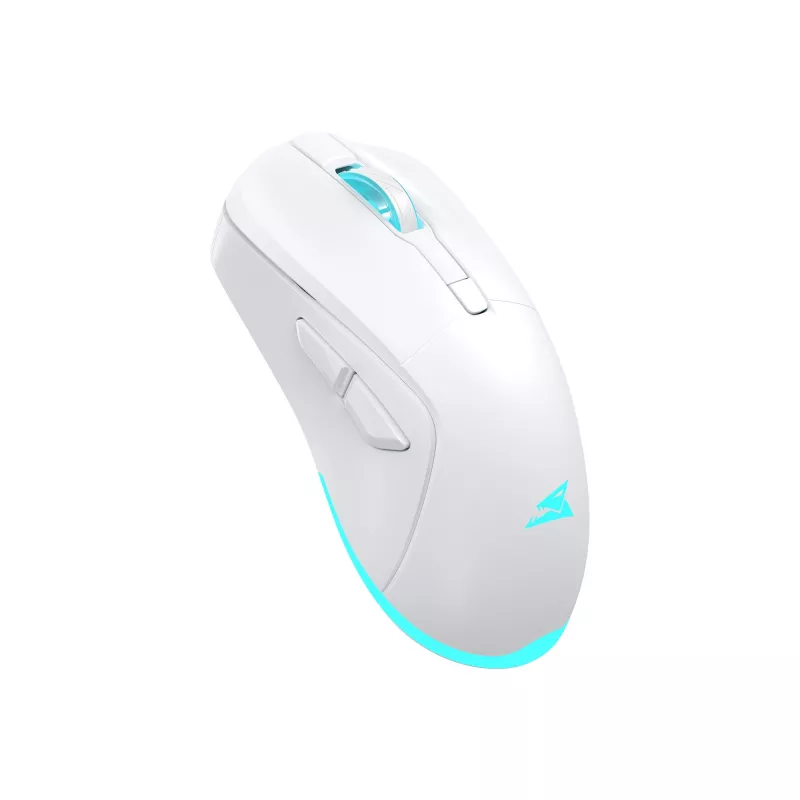 Belaidė pelė Baracuda BGM-122 Turtle White TURTLE-W