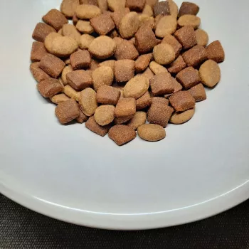 PUPIL Prime Mini Rich in poultry with beef - sausas šunų ėdalas - 10kg