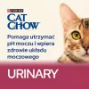 Purina Cat Chow Special Care Urinary Tract Health kačių sausas ėdalas 15 kg Suaugusios Vištiena