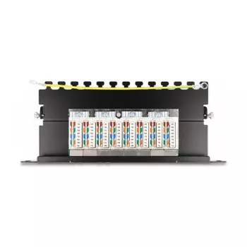 DeLOCK Patch Panel 10 inch 8 prievadų Cat.6A 0,5U juodas