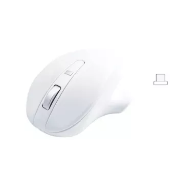Matias Wireless USB-C Pro Mouse White belaidė pelė
