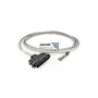 Cable Patton 10-493264-10 10 ft Telco 64 kontaktų į 32 kontaktų neapgnybtas