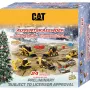 Carrera RC CAT Micro Advent Calendar 37085970