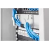 Kabelių tvarkymo panelė Digitus DN-10 ORG-1U 10 inch 1U
