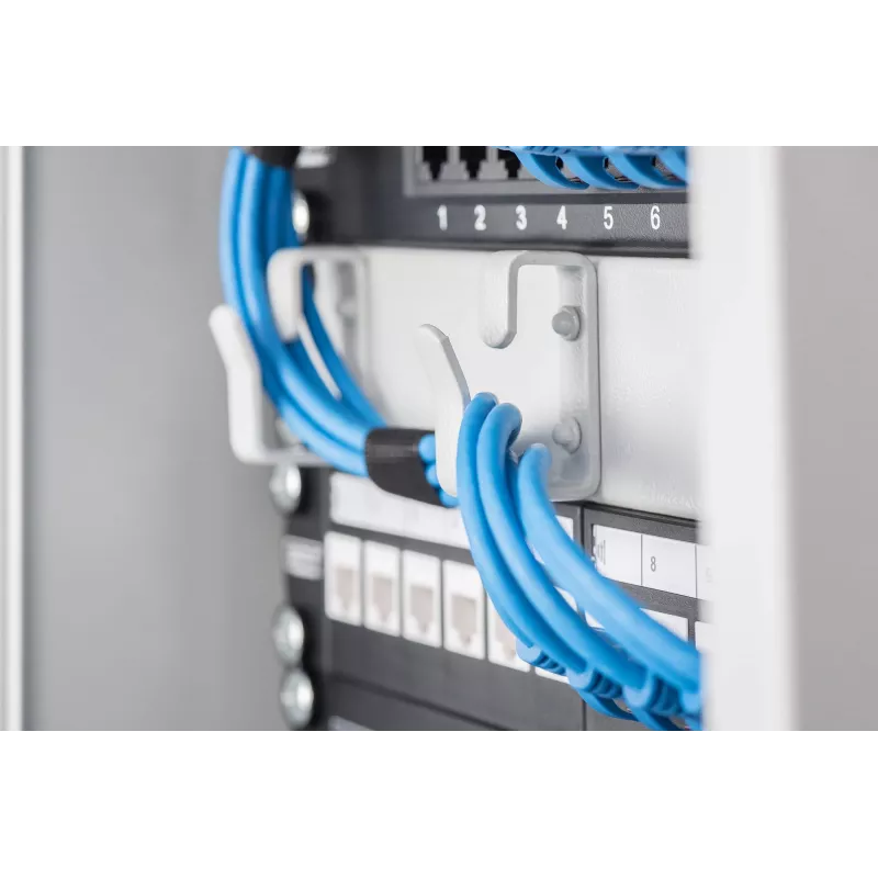 Kabelių tvarkymo panelė Digitus DN-10 ORG-1U 10 inch 1U
