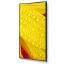 NEC MultiSync M651-2 profesionalus ekranas 65 colių LED 4K Ultra HD 500 cd/m² juodas