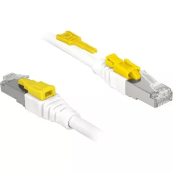 DeLOCK 85330 tinklo kabelis RJ-45 Cat6a 0,5 m baltas