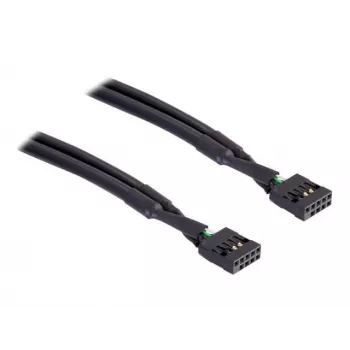 Vidinis USB kabelis DeLOCK 82437 0,5 m 10 kontaktų (patelė)